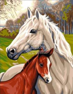 Картина для вышивания Anchor - Premier Pas