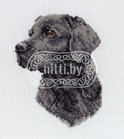 Набор для вышивания Anchor - Black Labrador